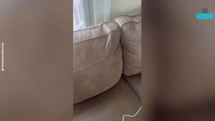 Kids Surprised With New Puppy