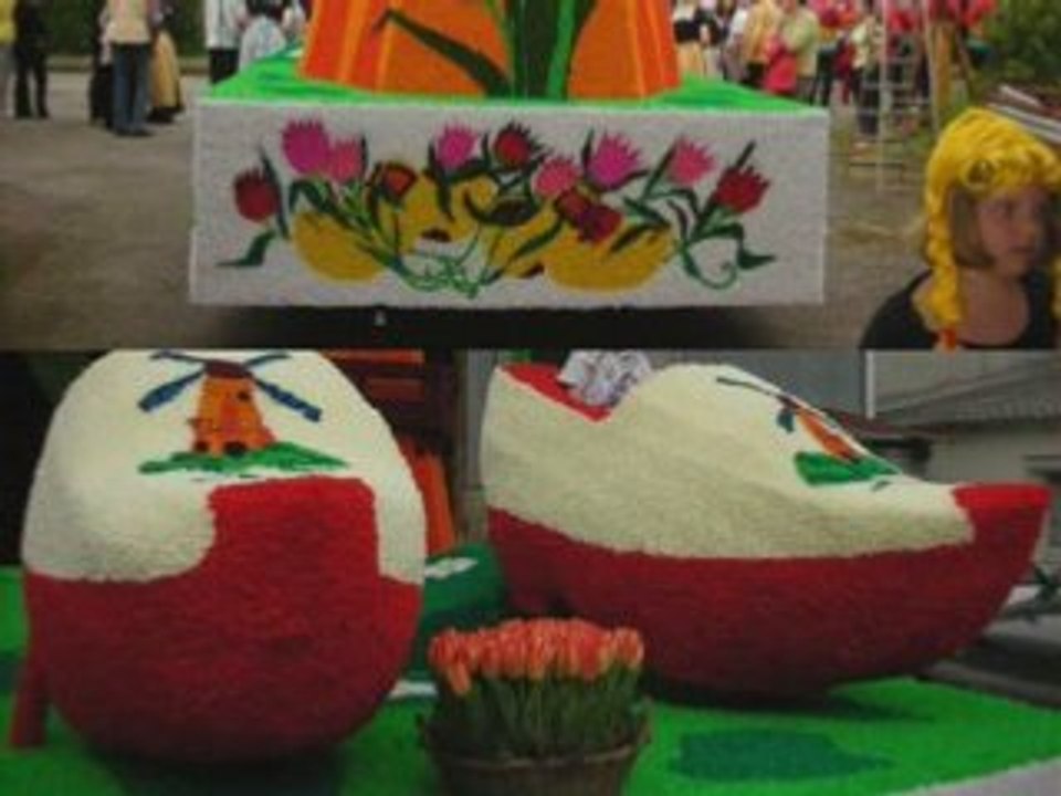 Cavalcade 2008 1