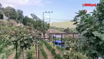 Yeni nişanlı çiftin kahreden sonu! Önce elektrik çarptı sonra trafik kazası geçirdiler