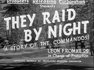 They Raid by Night (1942)