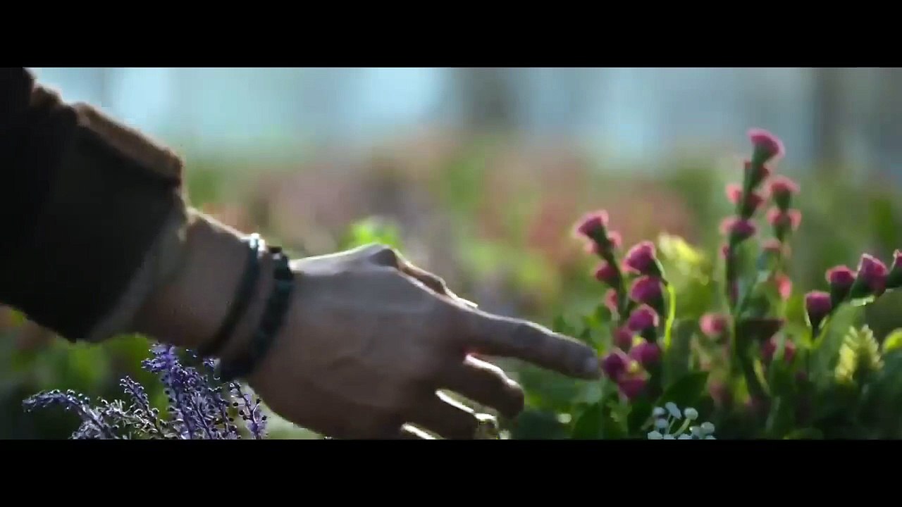 Baghi 4_surprise song_Taqdeer ha kya