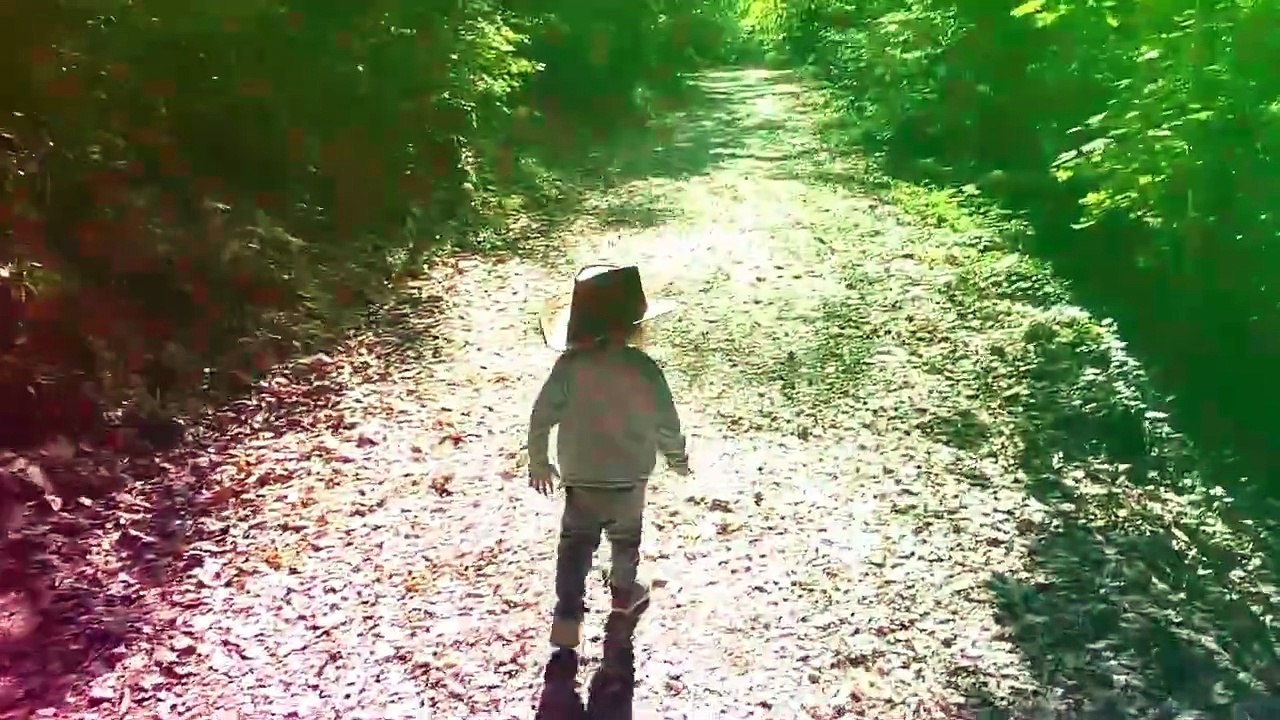 Samuel Copier and the I.L.F. - The Trees Are Listening (Raw Experimental Psychedelic Folk) | Music video