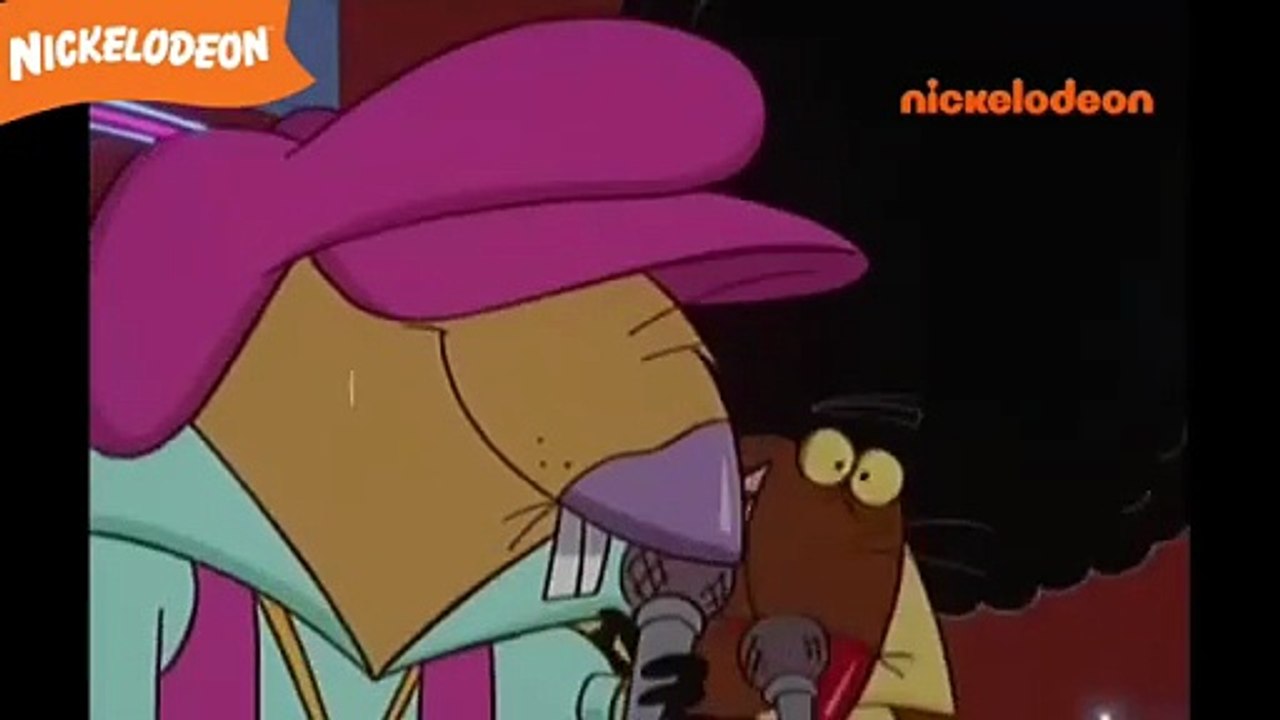 Les Castors Allumés - Disco Castors