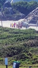 Helicóptero é chamado para resgatar banhista que caiu em costão de São Francisco do Sul