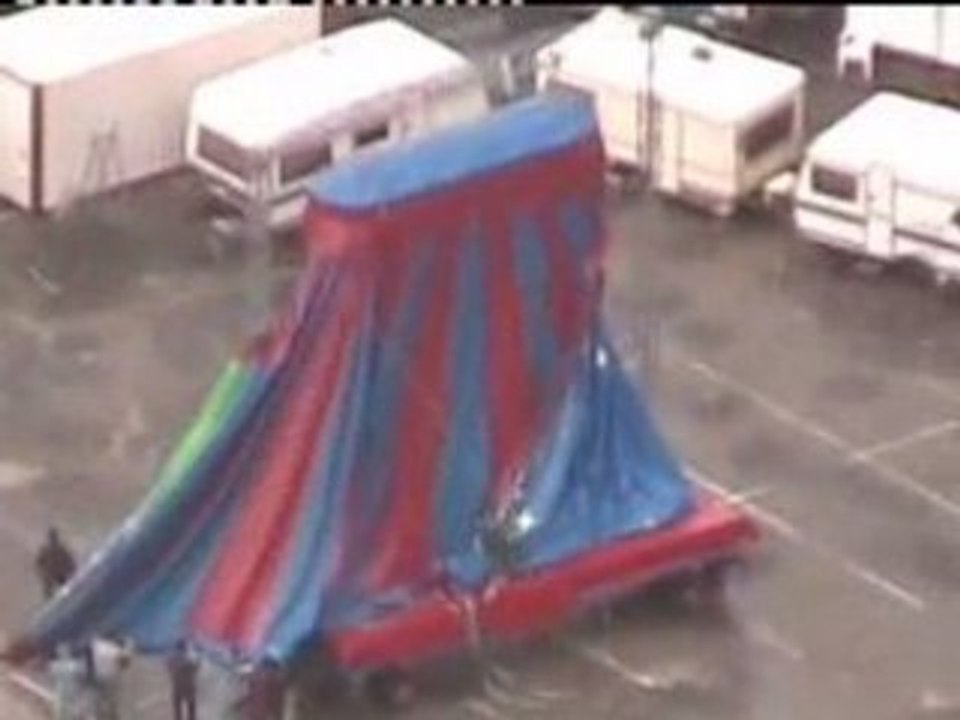 La vie du cirque