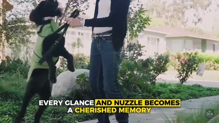 5 Reasons Your Life Needs a Furry Friend Now