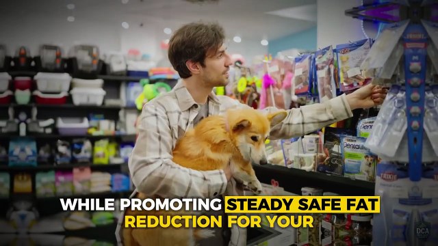 Dog Nutrition Guide_ 7 Ways to Prevent Obesity and Keep Dogs Fit