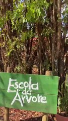 Professora Letícia Araújo faz apresentação da Escola da Árvore