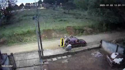 Motorista abandona cadela e seis filhotes em Piraquara