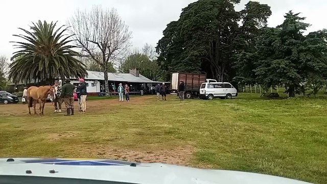 Marcación del Chasque - Caballos criollos - A. de Criadores de Caballos Criollos - Cerro Largo