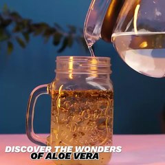 Discover the wonders of aloe vera
