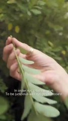 لعاشقات الحقائب: ليدي ديور تعود بتصاميم فريدة من نوعها