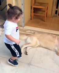 نجل سيرين عبد النور يُداعِب "الكلب" بعفوية