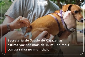 Secretaria de Saúde de Cajazeiras estima vacinar mais de 10 mil animais contra raiva no município