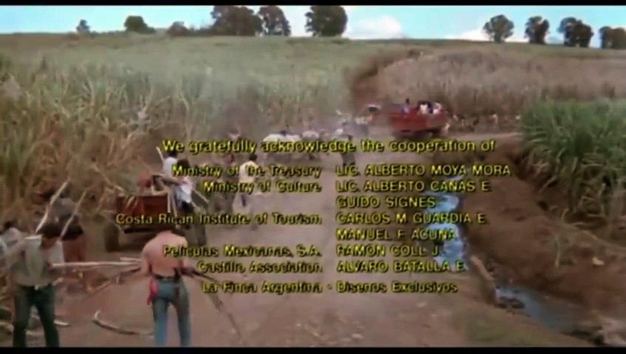 {Sweet Sugar} 1972 - Prostitute Sugar, set up by a corrupt politician, joins a chain gang led by Dr. John