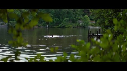 Hardin and Tessa Lake Scene _ After (2019) _ Movie Clip 4K(720P_HD)