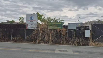 Mercado de Changuinola permanece paralizado por conflictos legales desde 2024