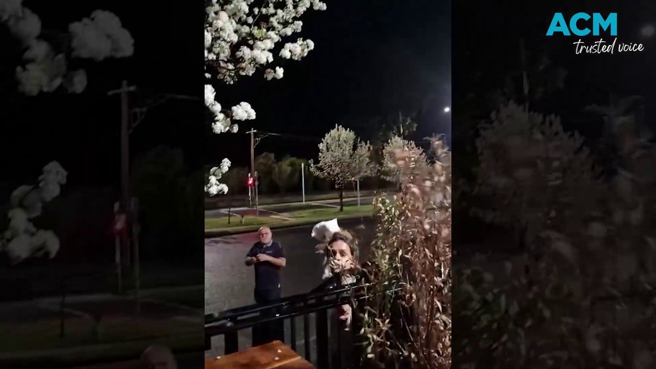 Video of racial altercation outside the Birallee Tavern