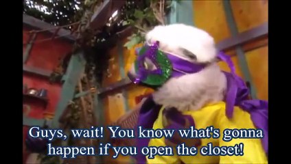 Zoboomafoo - Going to the closet (Super Lemur version)