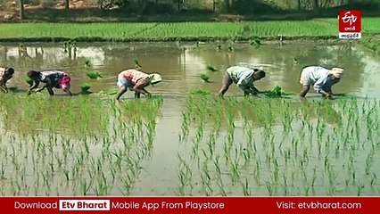 కరవు ప్రాంతాలకు గోదావరి జలాలు - 58 వేల కోట్లతో పోలవరం-సోమశిల అనుసంధానం