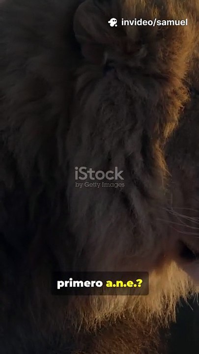 ¡El libro de Daniel: milagros, sabiduría y esperanza en acción!