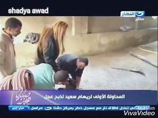 هجوم على ريهام سعيد بعد فيديو ذبحها للأضحية