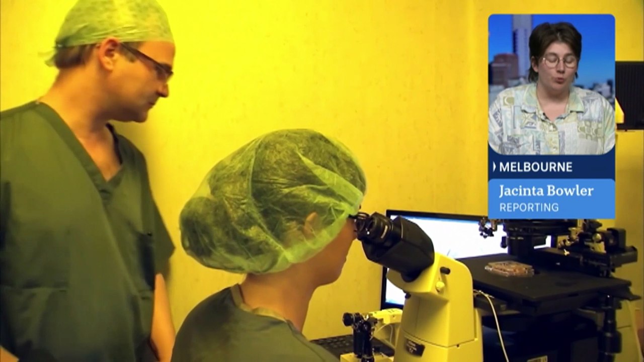 Human skin cells are turned into eggs in fertility breakthrough