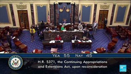 'Democrats say they are seeking to safeguard healthcare subsidies'