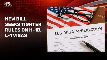 US senators reintroduce bill to reform H-1B visa program