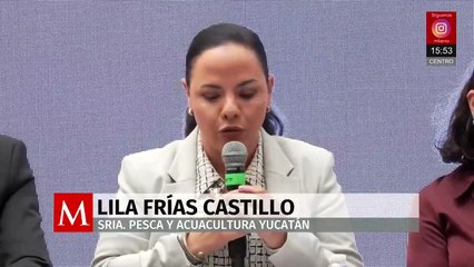 Yucatán será el anfitrión del Summit Latinoamericano y su plan de acción contra el cambio climático
