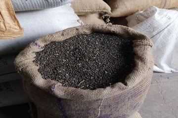 swm news: यहां खटाई में उड़द की समर्थन मूल्य पर खरीद