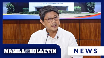 Up to DOJ, ICI to go after Zaldy Co, says Speaker Dy