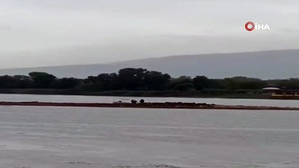 Sular çekildi, Sapanca Gölü'ndeki gizemli yapı yeniden ortaya çıktı!