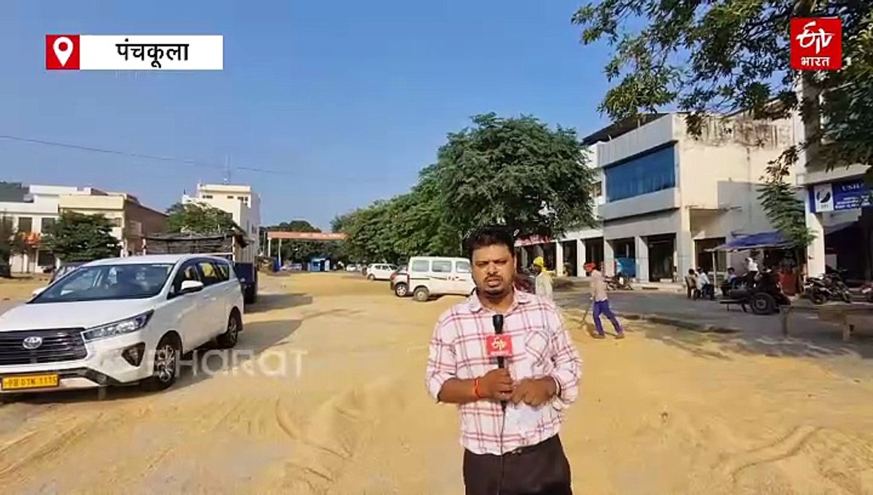 हरियाणा में धान खरीद प्रक्रिया ने पकड़ी रफ्तार, इस बार मिलों की संख्या में बढ़ोतरी की उम्मीद, नमी के कारण मंडियों में फसल सुखा रहे किसान