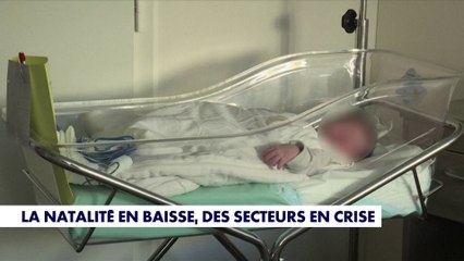 La natalité en baisse, des secteurs en crise