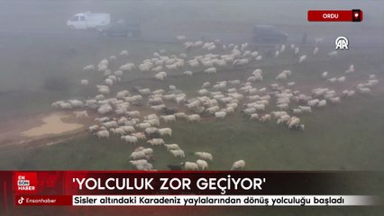 Ordu'da sisler altındaki Karadeniz yaylalarından dönüş yolculuğu başladı