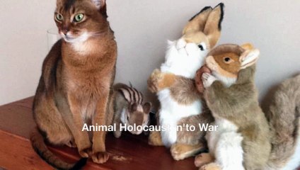 Animal Holocaust 'n'to War