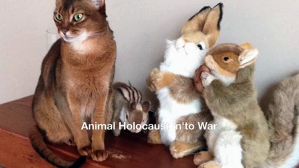 Animal Holocaust 'n'to War