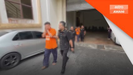 SPRM Pahang tahan lima peneroka kebun haram Musang King