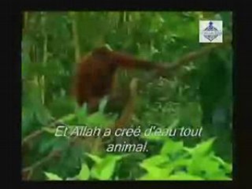 Extraits de la vidéo "Ne voient-il pas?" : extrait n°2