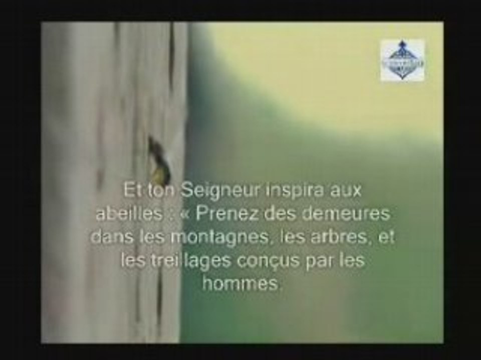 Extraits de la vidéo "Ne voient-il pas?" : extrait n°3