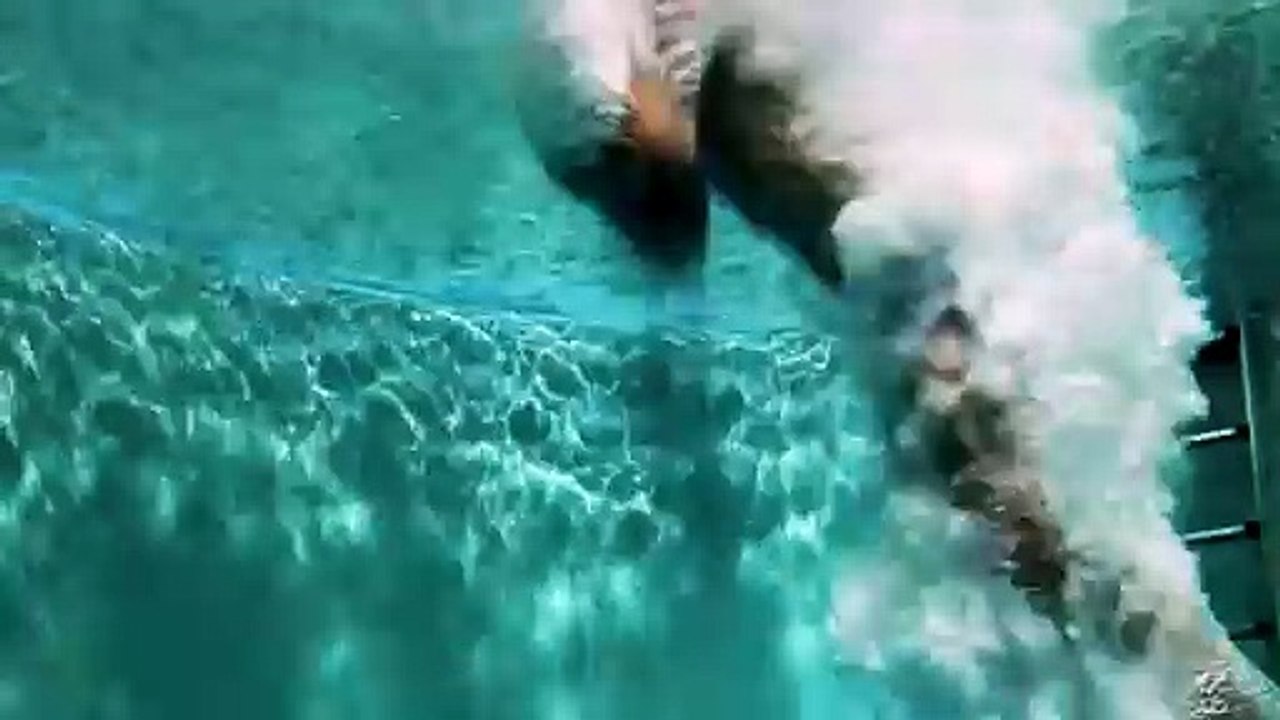Person Diving Underwater in a Pool