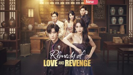 Remedy Of Love And Revenge | Chinese Movie
