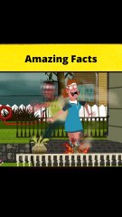 Definitely Not The Smartest People - Part 4  #shorts  #FactBeast901 - Fact Beast901