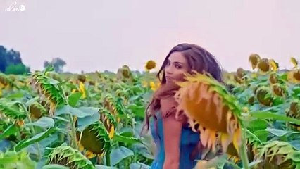 مشاريع داليدا خليل بعد "أسود"
