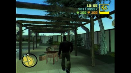 Grand Theft Auto 3: Liberty City / Vice City Mod  | The top of Donald Love's building, view.