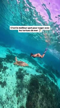 📍 Les îles Gili, au large de Lombok, sont l’un des meilleurs endroits d’Indonésie pour observer des tortues de mer en liberté avec @sevilouche