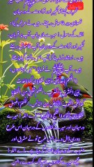 نمازوں کا بیان سنن ابن ماجہ حدیث نمبر 805 #بیانات #قران https://s.click.aliexpress.com/e/_c38d7e1z