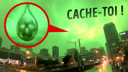 Si Vous Voyez Cela, La Nature Se Retourne Contre Vous