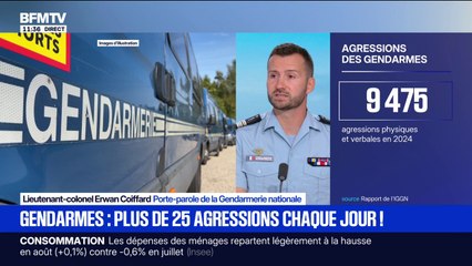 "La violence est omniprésente dans les interventions du quotidien", assure le lieutenant-colonel Erwan Coiffard, porte-parole de la Gendarmerie nationale